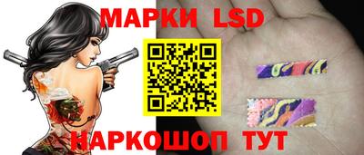 гидропоника Рязань