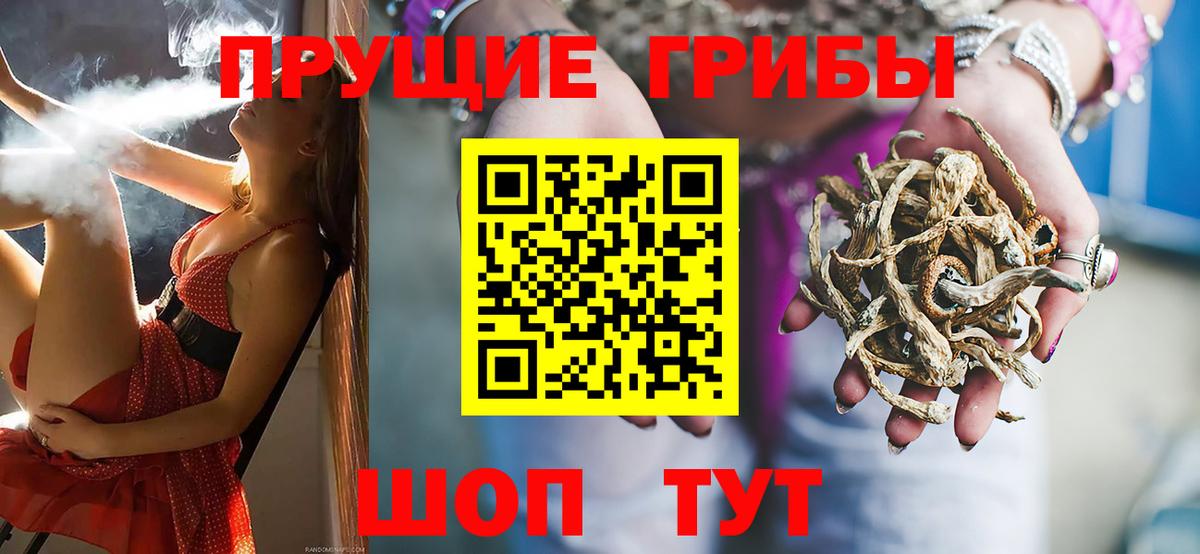 Псилоцибиновые грибы мухоморы Обь